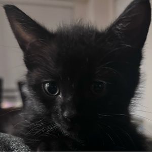 Meet your Posher, Jacob